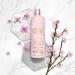 Baylis & Harding Elements Body Wash Bundle - White Tea & Neroli, Pink Blossom & Lotus Flower - 6 x 500ml Bottles - Vegan Friendly - Buy Online on GoSupps.com