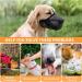 Breathable Mesh Dog Muzzle - Adjustable Nylon Muzzle for Small to XL Dogs - Safety Straps & Comfort Fit - Black - Buy Online on GoSupps.com