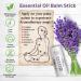 All-Natural Lavender Oil Roll-On Stick | Aromatherapy Sleep Balm & Calming Essential Oils - 0.50 Oz | Once Upon Aroma - Buy Online on GoSupps.com
