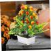COOPHYA home decor green decor fake flowers Fake Green Plant Potted Fake Fruit Trees Desktop Adornment Simulated Fruit Tree Fruit Tree Decor Faux Bonsai office fake bonsai artificial Foam As Shown 24X20CM - Buy Online on GoSupps.com