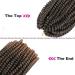 6 Pack 8 Spring Twist Crochet Hair T27# - Low Temp Synthetic Extensions for Butterfly Locs & Fluffy Twist Braids - 15 Strands 50g/Pack - Black Women's Hair - Buy Online on GoSupps.com