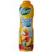 Teisseire Sirop Iced Tea P che 600ml