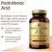 Solgar Pantothenic Acid 550 mg | 100 Vegan Capsules for Energy & Metabolism - Buy Online on GoSupps.com