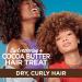 Garnier Fructis Curl Restoring Cocoa Butter Hair Treat 3-in-1 Leave In Cream 6.8oz - Boost Curls & Hydration - International Shipping Available - Buy Online on GoSupps.com