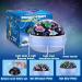Qukir Star Dinosaur Projector - Fun Dinosaur Toy for Boys Ages 1-14 | Perfect Gift for 3-8 Year Olds | Dinosaur Night Light and Room Decor - Buy Online on GoSupps.com