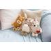 Nici 49648 Donkey 350ml | 2-in-1 Soft Cuddly Toy & Hot Water Bottle for Kids | Plush Bed Bottle for Ages 10 Months+ - Buy Online on GoSupps.com
