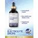 Carlyle Electrolyte Drops 4 fl oz | Hydration Liquid Supplement for Drinks | Vegan Formula | Keto-Friendly Non-GMO Gluten Free - Buy Online on GoSupps.com
