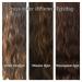 SAPPHIREWIGS Headband Wig 26 Loose Body Wavy Synthetic Hair - Mix Brown Color, 150% Density - for Black Women - Glueless Wave None Lace Front - Buy Online on GoSupps.com