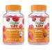Lifeable Probiotic 2 Billion CFU Kids + Zinc Kids Gummies Bundle - Great Tasting Vitamin Supplement Gluten Free GMO Free Chewable Gummy