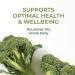MegaFood Women Over 40 One Daily - 60 Tablets for Optimal Health - Buy Online on GoSupps.com