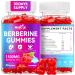 Berberine Gummies 1500mg High Potency Berberine Supplement with Ceylon Cinnamon and Milk Thistle Supports Glucose Metabolism & Natural Liver Function Vegan Sugar-Free Non-GMO 60 Count