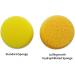 Premium Synthetic Art Crafts Sponges - 6pc Value Pack for Painting, Pottery, Face Paint - Lullingworth - Buy Online on GoSupps.com