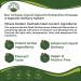 Rhodiola Rosea Liquid Drops Supplement - Vegan, Zero Sugar, Alcohol Free, Gluten Free Energy Restoring Tincture for Men and Women - Buy Online on GoSupps.com