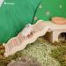 Niteangel Wooden Ladder Bridge for Hamsters & Small Animals - Climbing Toy for Gerbils Mice & More - Buy Online on GoSupps.com