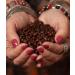 Yemen Mocha Khulani Coffee - 340g (12oz) - Effendy Premium - Certified Grade 1 - Whole Bean - Medium Roast - Bag - Buy Online on GoSupps.com