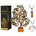 Black Tourmaline Tree - Haeling Crystal - Gemstone Money Tree - Reiki Healing Tree - Chakra Balancing - Home Decor - Spiritual Gifts # 4 Black Tourmaline