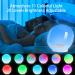 Daily Light Alarm Clock with Sunrise Sunset Simulation | 11 Color Settings & 7 Natural Sounds | Dual Alarm & Snooze for Adults & Kids - Buy Online on GoSupps.com