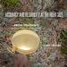 Camping Survival Compass Glow in The Dark Military Compass Survival Gearfor for Hiking  Camping Backpacking  Outdoor Activities Style A - Buy Online on GoSupps.com