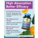 Terranics Magnesium Complex & Moringa Capsules Bundle - 500mg 5 Forms Magnesium Glycinate Citrate Malate Aspartate Gluconate + 11300mg Pure Moringa Leaf Powder 120 Capsules Each - Buy Online on GoSupps.com