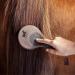 Animalon Mane and Tail Brush for Horses | Premium Horse Care Accessories | Durable Mane and Tail Comb in Brown - Buy Online on GoSupps.com