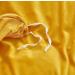 Houseri Mustard Yellow Velvet Duvet Cover Queen Mustard Fluffy Bedding Duvet Cover Full Yellow Flannel Fuzzy Bedding Sets Quilt Queen Comforter Cover for Fall Winter Warm Bed Duvet Cover Set Full Size Full/Queen(90''*90''-duvet cover) Mustard Yellow Velve - Buy Online on GoSupps.com