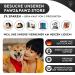 Premium Pawz & Pawz Dog Brush | Gentle Fur Care for Dogs & Cats | Striegel & Massage Effect Pet Brush - Buy Online on GoSupps.com