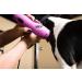 Wahl KM5 2-Speed Pet Clipper Kit - Cotton Candy Pink (9787-100) - Buy Online on GoSupps.com
