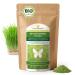1kg de poudre d'herbe d'orge BIO d'ALLEMAGNE qualit crue partir de jeunes herbes sans additifs pour smoothies verts (1000g) 1 kg (Lot de 1)