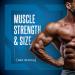 Siren Labs D1-T Strength Testosterone Booster - Mass Gainer with D-Aspartic Acid for Men | Anabolic Muscle Growth & Estrogen Suppression (120 Capsules - Buy Online on GoSupps.com