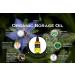 Feelia Organic Borage Oil - Cold Pressed, Rich in Omega 6 - 100ml - Buy Online on GoSupps.com