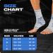 Buy Special Essentials Ankle Brace for Men & Women - Relief for Plantar Fasciitis Arch Support & Foot Pain - Compression Sleeve Sock (Large Blue) - International Shipping Available - Buy Online on GoSupps.com
