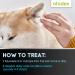Otodex Petlife Ear Drops 14ml - Effective Solution for Pet Ear Care - Buy Online on GoSupps.com