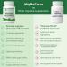 MigReForm Doctor Formulated Nutritional Supplement and Migraine Wellness Support - Natural Migraine Health Formula with Magnesium Vitamin B2 & CoQ10-60 Capsules for Women & Men - Buy Online on GoSupps.com