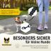 Shop Elastic Reflective Jogging Leash for Small Dogs Up to 15kg | Freehand Lines & Belly Belt | Perfect for Jogging Walking Cycling & Hiking - Buy Online on GoSupps.com