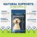 Probiotics For Dogs | 60 Tablets | Supports Healthy Digestive & Immune System | Unique Formula Contains Beta Glucans Turmeric & Ginger - Buy Online on GoSupps.com