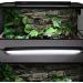 Buy Aiicioo T5 UVB Lighting Combo Kit for Reptiles - 54W Desert UVB Lamp & Terrarium Hood - Buy Online on GoSupps.com
