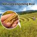 Rice Shampoo Bar & Conditioner Set | Natural Hair Growth & Strengthening | Paraben & Sulfate Free | Rice Water Infused | 2pc for Thinning Hair - Buy Online on GoSupps.com