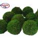 Kaveno Green Moss Decorative Balls - Set of 12 Natural Green Spheres 2.4 - Buy Online on GoSupps.com