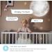 Lollipop Baby Monitor (Turquoise) - Contactless Breathing & Cry Detection, Sleep Tracking, WiFi Camera - Buy Online on GoSupps.com