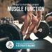 EBYSU Magnesium Bisglycinate Malate - 120 Vegan Caps - Chelated Magnesium Capsules - Source of Electrolytes & Helps to Maintain Proper Muscle Function - Buy Online on GoSupps.com