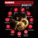 Fadogia Agrestis & Tongkat Ali Supplement 1400mg - Enhance Muscle Growth Strength & Performance - 120 Non-GMO Caps Made in USA - Buy Online on GoSupps.com