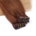 Tape In Hair Extensions #12/26 Ombre - 40cm - 100% Remy Real Hair - 30 Bricks - Tress by Novon - Buy Online on GoSupps.com