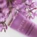 Buy Poetry in Lotion 1% Retinol by Dermadoctor Intensive Anti-Aging Lotion for Women | 1 oz - International Shipping Available - Buy Online on GoSupps.com