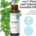 Pregnancy Essentials: Premium Peppermint Essential Oil Roll On for Head Tension Relief, Stress Reduction, and Aches Soothing - Therapeutic Grade Aromatherapy Oil - Buy Online on GoSupps.com