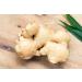 Verduro Organic Ginger Capsules - 150 High Dose Vegan 800mg - Pure Organic Ginger Powder for Immunity & Metabolism Lactose-Free - Buy Online on GoSupps.com