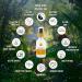 Zenotica Feng Shui and Space Clearing Spray: Organic Eco-Friendly Fair-Trade Essential Oil Blend to Cleanse Harmonize Reset and Restore Serenity and Balance. 2 Fluid Ounces (60ml). - Buy Online on GoSupps.com