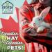 Timothy Hay 6.25 lb. by Stoter Farms 100% Canadian. Hay for Rabbits Guinea Pigs Chinchilla and Other Small Pets 2.83 kg (Pack of 1) - Buy Online on GoSupps.com
