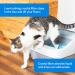 PetSafe ScoopFree Premium Crystal Cat Litter - 8.6 lb Total - 5x Better Odor Control - Non-Clumping Formula - Low Tracking & Dust - Original Blue - Buy Online on GoSupps.com