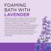 Dr Teal's Foaming Bath with Pure Epsom Salt Soothe & Sleep with Lavender Essential Oil 34 fl oz (Packaging May Vary) Bubble Bath (1000 ml) foaming Bath - Buy Online on GoSupps.com