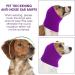 CoBee Soothing Earmuffs for Dogs | Noise Protection Ear Flap Head Wrap - XL Violet | Comfort & Care for Bathing - Buy Online on GoSupps.com